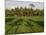 Rice Paddy Fields in the Highlands in Bali, Indonesia, Southeast Asia-Julio Etchart-Mounted Photographic Print