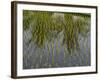 Rice Paddy Fields in the Highlands in Bali, Indonesia, Southeast Asia-Julio Etchart-Framed Photographic Print