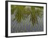 Rice Paddy Fields in the Highlands in Bali, Indonesia, Southeast Asia-Julio Etchart-Framed Photographic Print