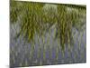 Rice Paddy Fields in the Highlands in Bali, Indonesia, Southeast Asia-Julio Etchart-Mounted Photographic Print