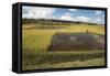 Rice Paddy Fields on Rn7 (Route Nationale 7) Near Ambatolampy in Central Highlands of Madagascar-Matthew Williams-Ellis-Framed Stretched Canvas