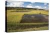 Rice Paddy Fields on Rn7 (Route Nationale 7) Near Ambatolampy in Central Highlands of Madagascar-Matthew Williams-Ellis-Stretched Canvas