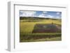 Rice Paddy Fields on Rn7 (Route Nationale 7) Near Ambatolampy in Central Highlands of Madagascar-Matthew Williams-Ellis-Framed Photographic Print