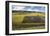 Rice Paddy Fields on Rn7 (Route Nationale 7) Near Ambatolampy in Central Highlands of Madagascar-Matthew Williams-Ellis-Framed Photographic Print