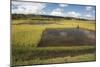 Rice Paddy Fields on Rn7 (Route Nationale 7) Near Ambatolampy in Central Highlands of Madagascar-Matthew Williams-Ellis-Mounted Photographic Print