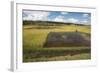 Rice Paddy Fields on Rn7 (Route Nationale 7) Near Ambatolampy in Central Highlands of Madagascar-Matthew Williams-Ellis-Framed Photographic Print