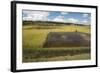 Rice Paddy Fields on Rn7 (Route Nationale 7) Near Ambatolampy in Central Highlands of Madagascar-Matthew Williams-Ellis-Framed Photographic Print