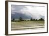 Rice Paddy Fields-Annie Owen-Framed Photographic Print