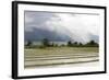 Rice Paddy Fields-Annie Owen-Framed Photographic Print