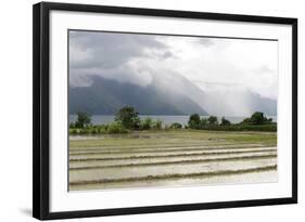 Rice Paddy Fields-Annie Owen-Framed Photographic Print