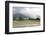 Rice Paddy Fields-Annie Owen-Framed Photographic Print