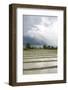 Rice Paddy Fields-Annie Owen-Framed Photographic Print