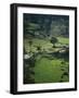 Rice Plantation, Terraced Fields, in Hills Near Hangnuanketa, Kandy District, Sri Lanka-David Beatty-Framed Photographic Print