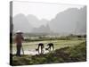 Rice Planters Working in Paddy Fields, Vietnam, Indochina, Southeast Asia-Purcell-Holmes-Stretched Canvas