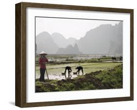 Rice Planters Working in Paddy Fields, Vietnam, Indochina, Southeast Asia-Purcell-Holmes-Framed Photographic Print