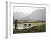 Rice Planters Working in Paddy Fields, Vietnam, Indochina, Southeast Asia-Purcell-Holmes-Framed Photographic Print