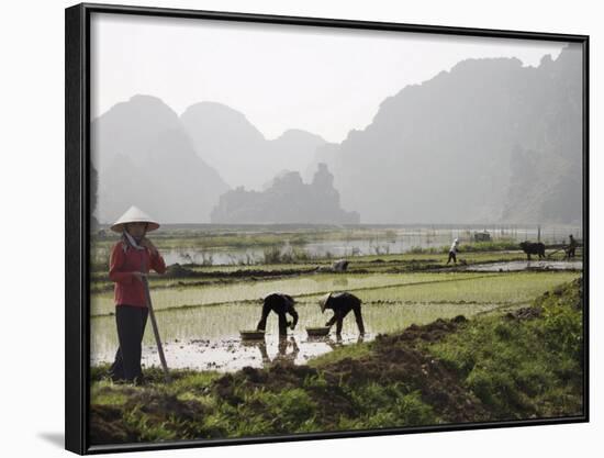 Rice Planters Working in Paddy Fields, Vietnam, Indochina, Southeast Asia-Purcell-Holmes-Framed Photographic Print