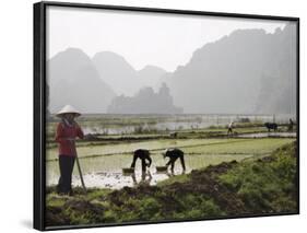 Rice Planters Working in Paddy Fields, Vietnam, Indochina, Southeast Asia-Purcell-Holmes-Framed Photographic Print