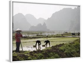 Rice Planters Working in Paddy Fields, Vietnam, Indochina, Southeast Asia-Purcell-Holmes-Framed Photographic Print