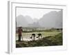 Rice Planters Working in Paddy Fields, Vietnam, Indochina, Southeast Asia-Purcell-Holmes-Framed Photographic Print