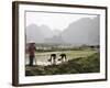 Rice Planters Working in Paddy Fields, Vietnam, Indochina, Southeast Asia-Purcell-Holmes-Framed Photographic Print