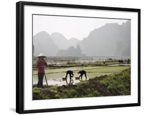 Rice Planters Working in Paddy Fields, Vietnam, Indochina, Southeast Asia-Purcell-Holmes-Framed Photographic Print