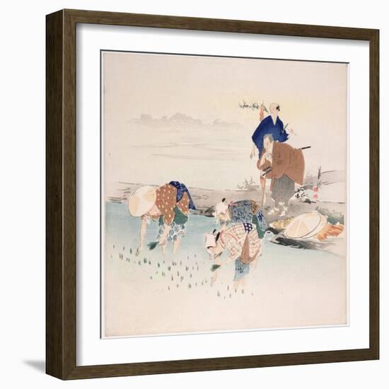 Rice Planting, C.1890s-1900s-Ogata Gekko-Framed Giclee Print