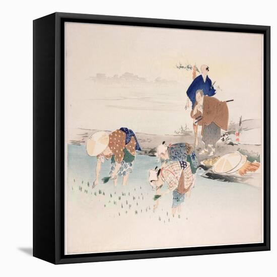 Rice Planting, C.1890s-1900s-Ogata Gekko-Framed Stretched Canvas