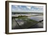 Rice Production. East Demerara Conservancy, Guyana-Pete Oxford-Framed Photographic Print