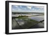 Rice Production. East Demerara Conservancy, Guyana-Pete Oxford-Framed Photographic Print