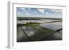 Rice Production. East Demerara Conservancy, Guyana-Pete Oxford-Framed Photographic Print