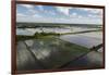 Rice Production. East Demerara Conservancy, Guyana-Pete Oxford-Framed Photographic Print