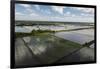 Rice Production. East Demerara Conservancy, Guyana-Pete Oxford-Framed Photographic Print