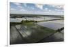 Rice Production. East Demerara Conservancy, Guyana-Pete Oxford-Framed Premium Photographic Print