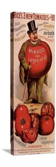 Stretched Canvas Print, , large