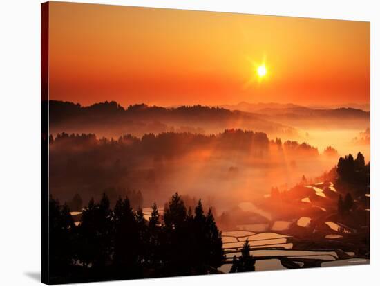 Rice Terrace at Dawn-null-Stretched Canvas