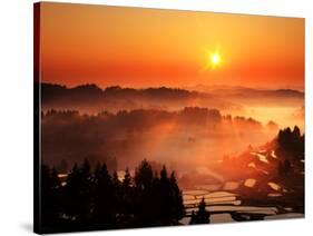 Rice Terrace at Dawn-null-Stretched Canvas