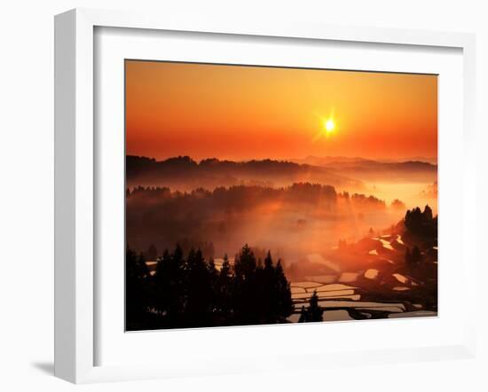 Rice Terrace at Dawn-null-Framed Photographic Print