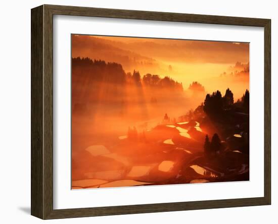 Rice Terrace at Dawn-null-Framed Photographic Print