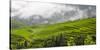Rice terrace in the mountain in morning mist, Jiabang, Guizhou Province, China.-Keren Su-Stretched Canvas