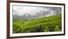 Rice terrace in the mountain in morning mist, Jiabang, Guizhou Province, China.-Keren Su-Framed Photographic Print