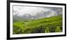 Rice terrace in the mountain in morning mist, Jiabang, Guizhou Province, China.-Keren Su-Framed Photographic Print