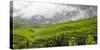 Rice terrace in the mountain in morning mist, Jiabang, Guizhou Province, China.-Keren Su-Stretched Canvas