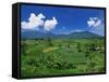 Rice Terrace, Minangkabau, Sumatra, Indonesia-Robert Francis-Framed Stretched Canvas