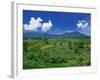 Rice Terrace, Minangkabau, Sumatra, Indonesia-Robert Francis-Framed Photographic Print