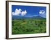 Rice Terrace, Minangkabau, Sumatra, Indonesia-Robert Francis-Framed Photographic Print