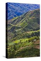 Rice Terraces, Agriculture, Philippine Cordilleras, Banaue, Ifugao, Philippines-Keren Su-Stretched Canvas