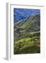 Rice Terraces, Agriculture, Philippine Cordilleras, Banaue, Ifugao, Philippines-Keren Su-Framed Photographic Print