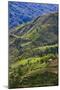 Rice Terraces, Agriculture, Philippine Cordilleras, Banaue, Ifugao, Philippines-Keren Su-Mounted Photographic Print