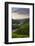 Rice Terraces, Agriculture, Philippine Cordilleras, Banaue, Ifugao, Philippines-Keren Su-Framed Photographic Print